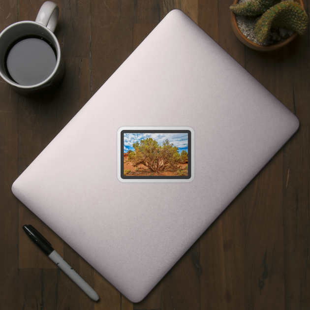 Juniper Tree, Capitol Reef National Park by Gestalt Imagery